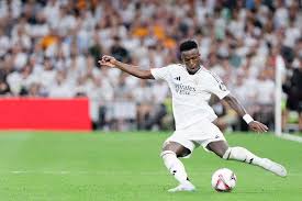 浙江男篮的 浙江男篮的